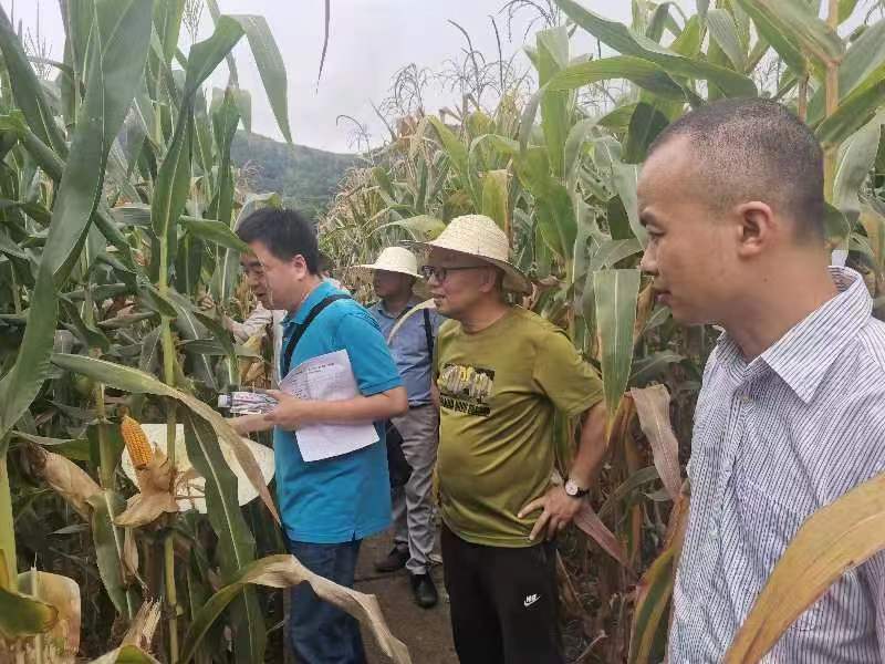 圖片2.jpg 圖片2.jpg