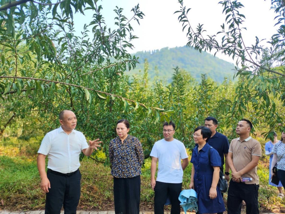 圖片1.jpg 圖片1.jpg