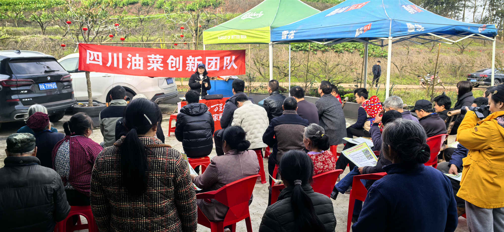 2月28日，科技賦能一促四防 推動油菜單產(chǎn)提升1.jpg