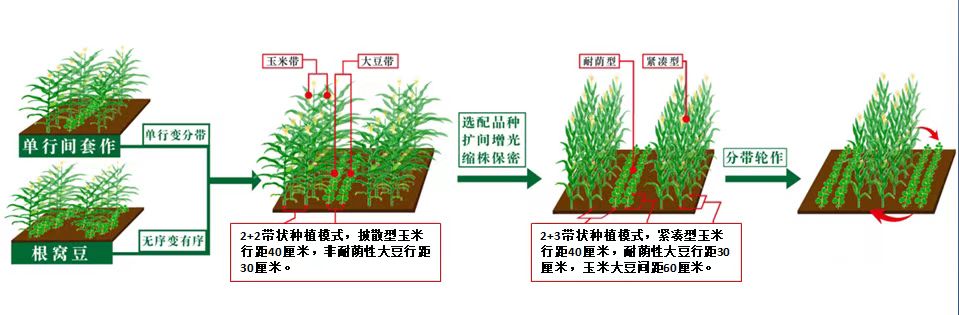圖片1.jpg 圖片1.jpg