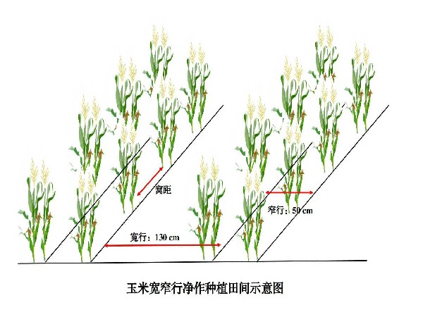 圖片1.jpg