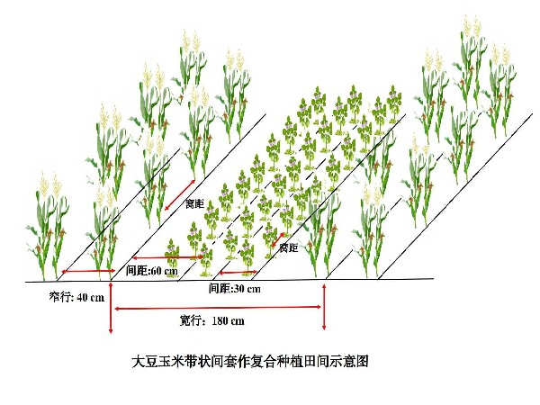 圖片2.jpg 圖片2.jpg