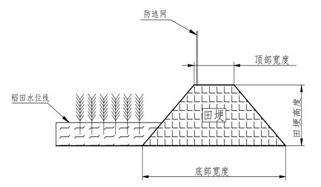 圖片2.jpg